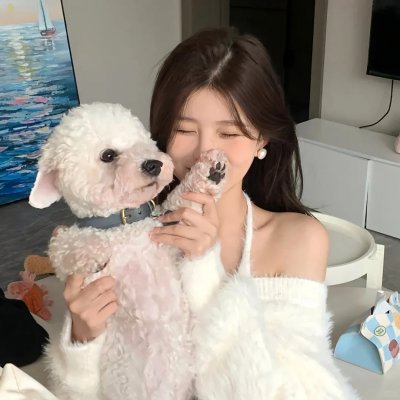 风月如雪