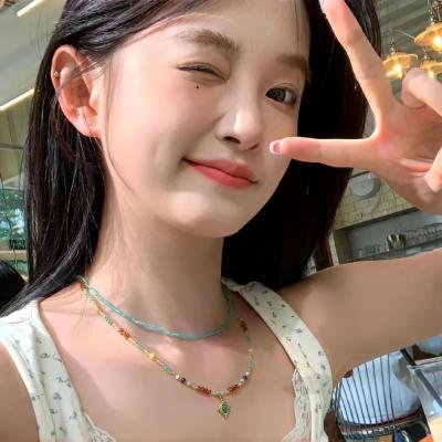 海豚的故事2